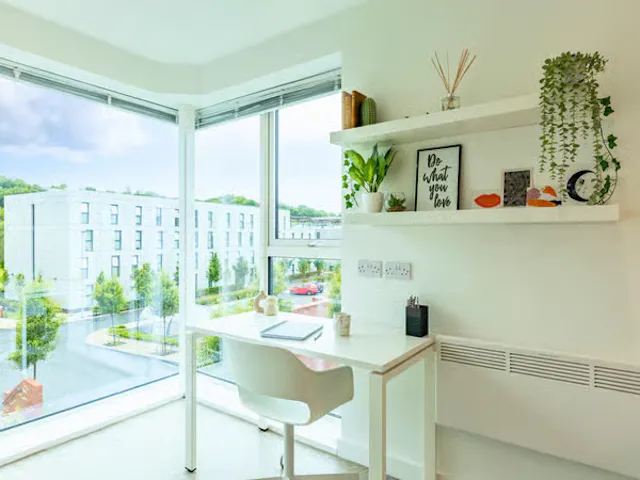 Premium Plus room image 3