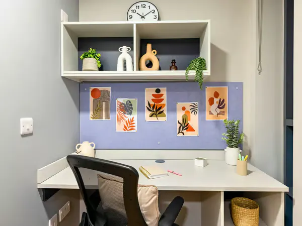 Premium Studio