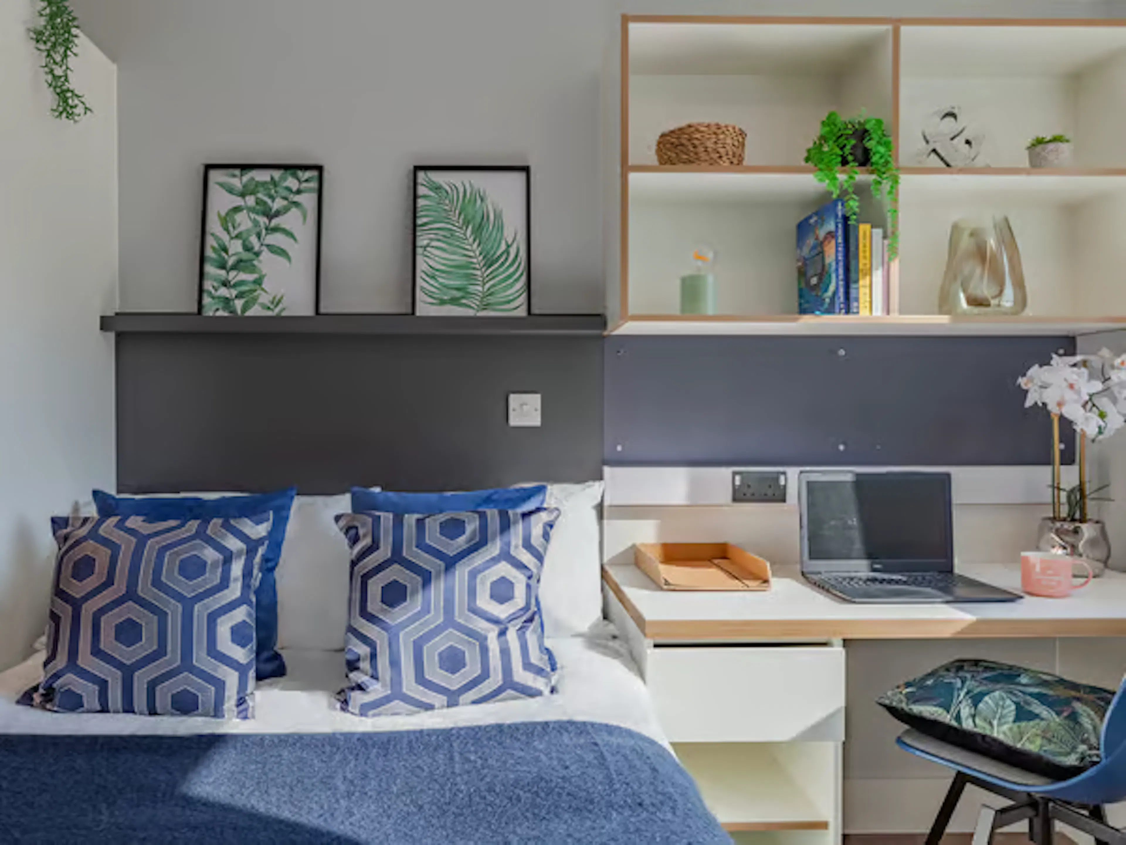 Premium Studio ROOM 2