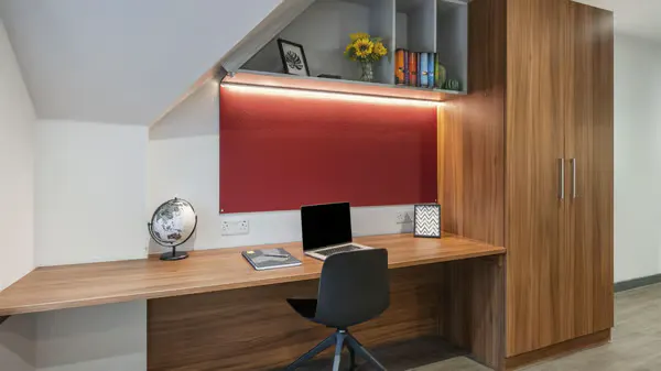 Deluxe Plus room image 3