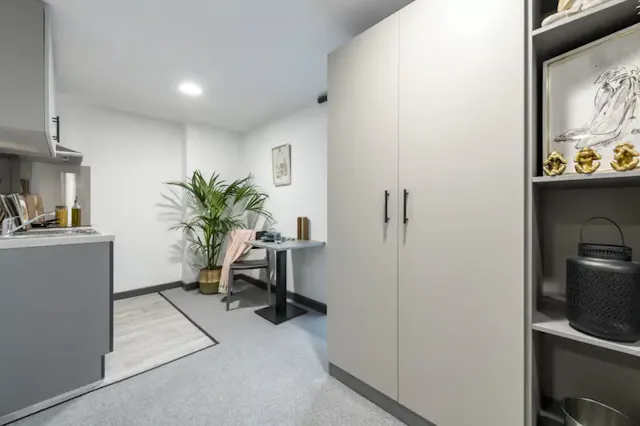 Silver Studio room image 3
