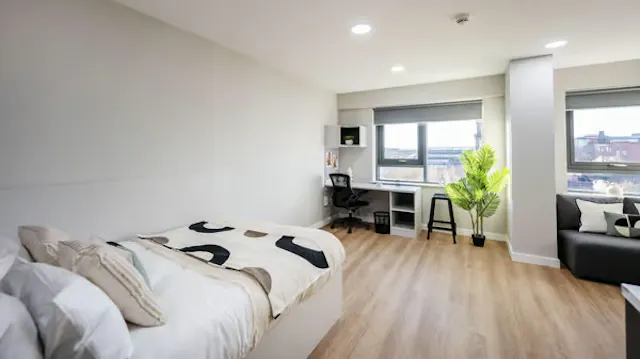 Superior Studio room image 3
