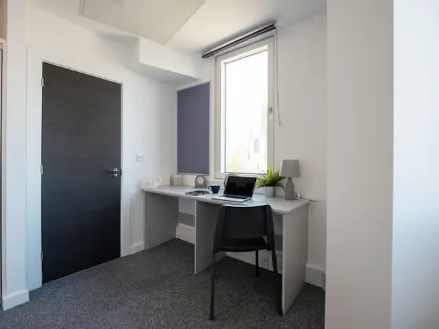 Platinum Studio room image 3