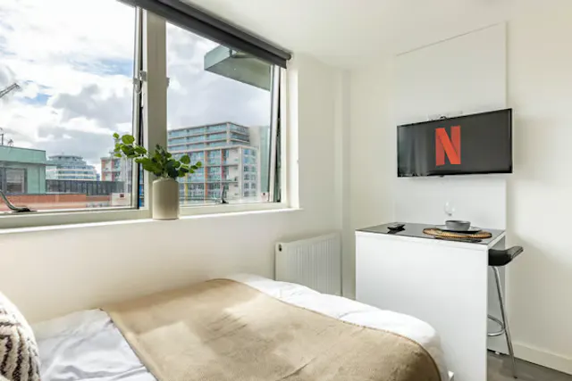 Deluxe Studio room image 3