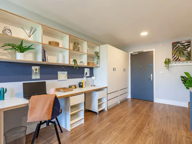 Luxury Studio room image 4