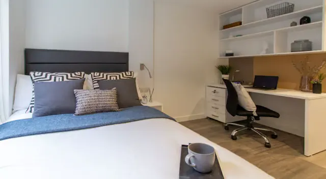 Large Classic Studio Plus room image 4