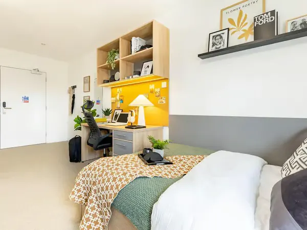 Premium Plus Studio