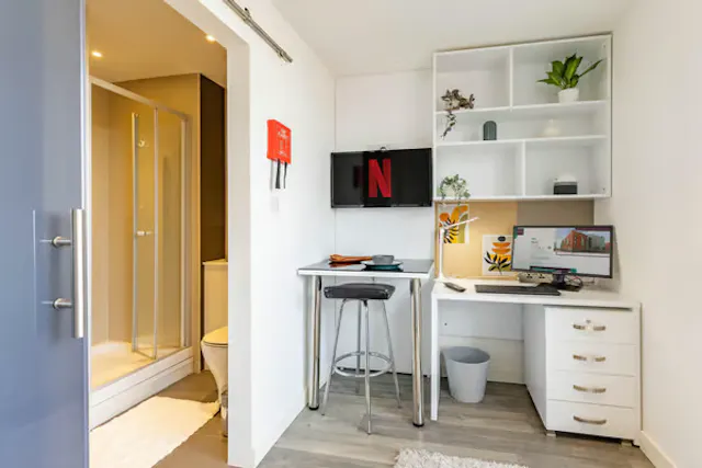Deluxe Studio Plus room image 2
