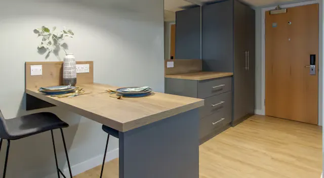 Premium Superior Studio room image 4