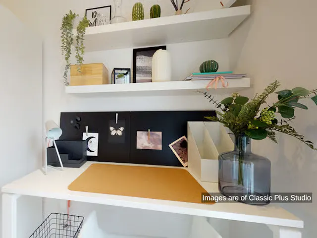 Premium Studio room image 4