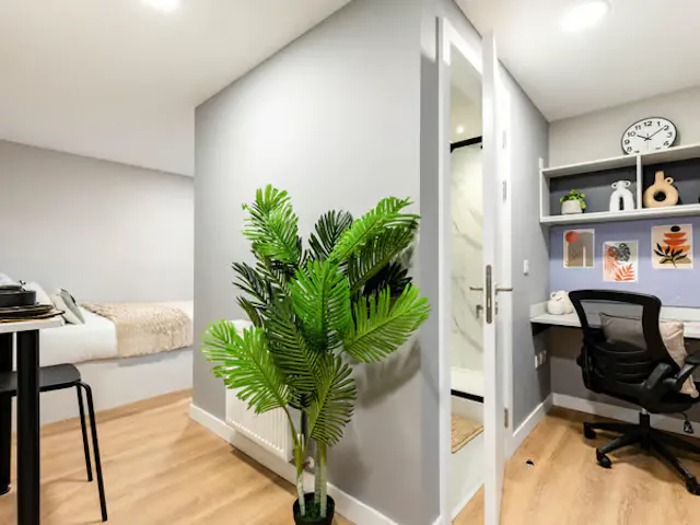 Premium Studio room image 5