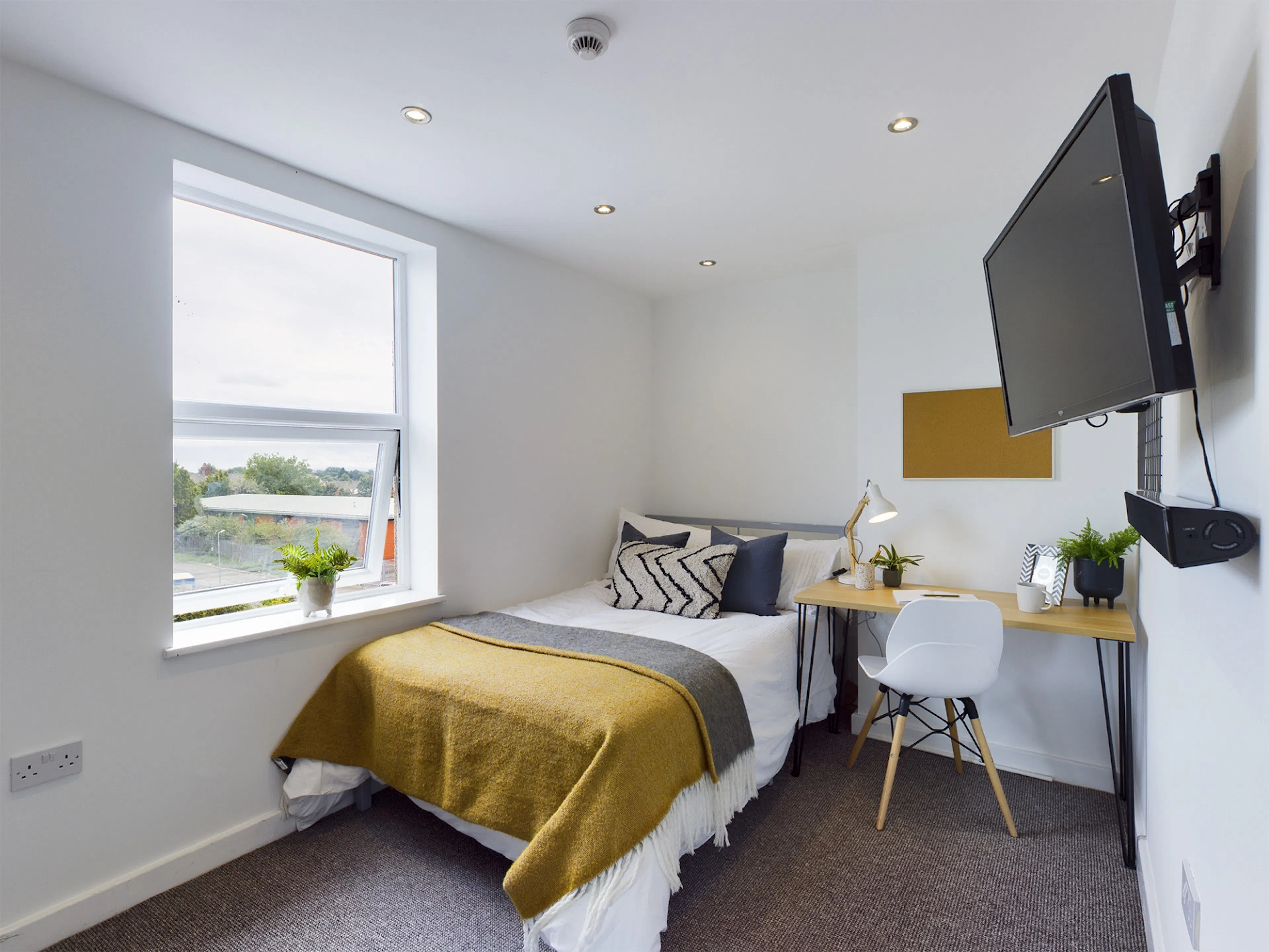 6 Bedroom House ROOM 2