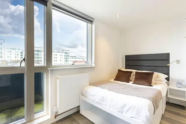 Deluxe Studio Plus room image 5