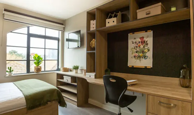 Large Studio room image 1