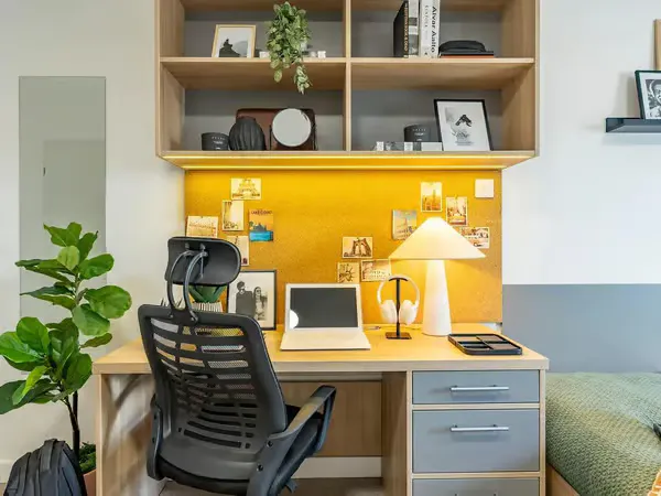 Premium Plus Studio