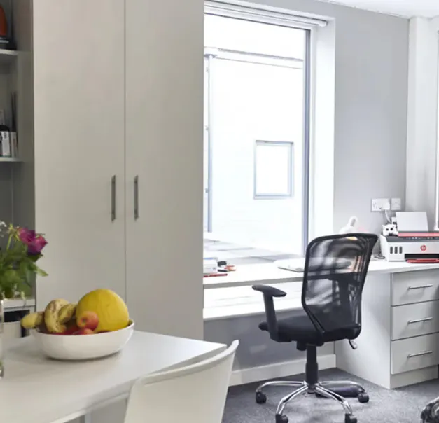 Ultimate Plus Studio