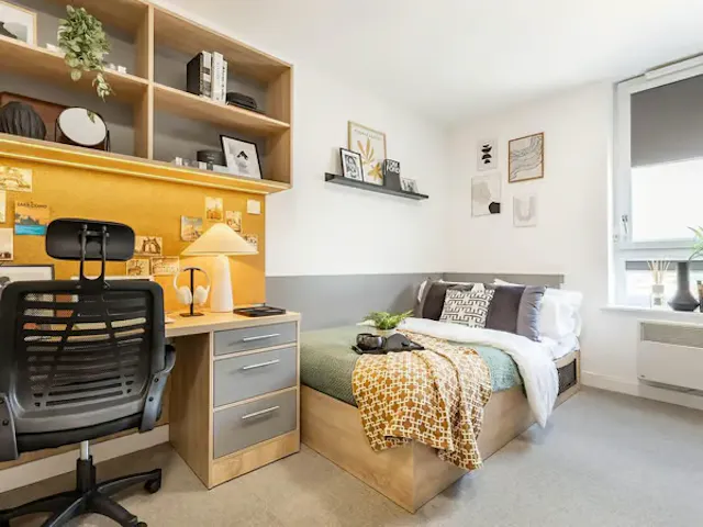 Premium Plus Studio room image 10