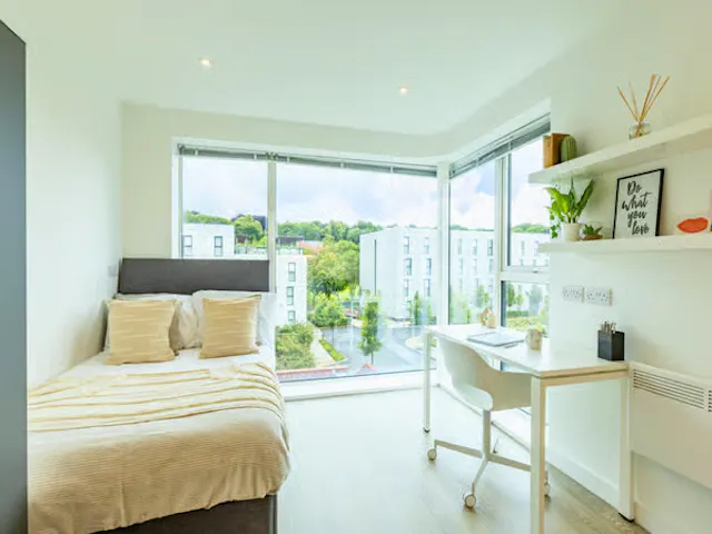 Premium Plus room image 1