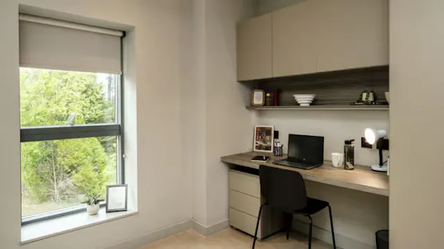 Premium Studio room image 2