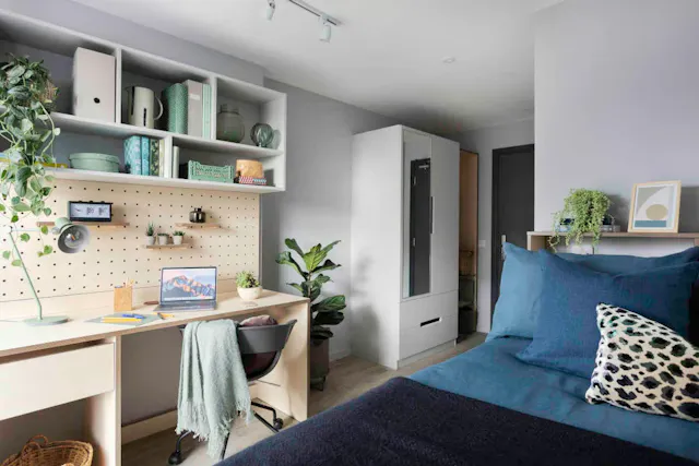 5 Bed Standard Ensuite room image 2