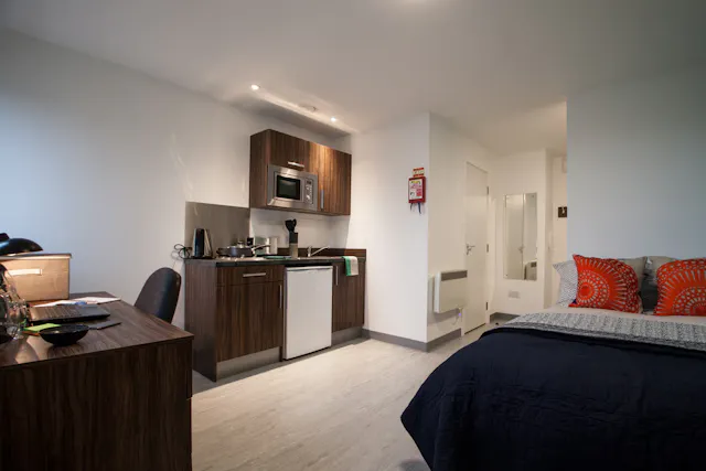 Basic Bigger Accessible Studio room image 1
