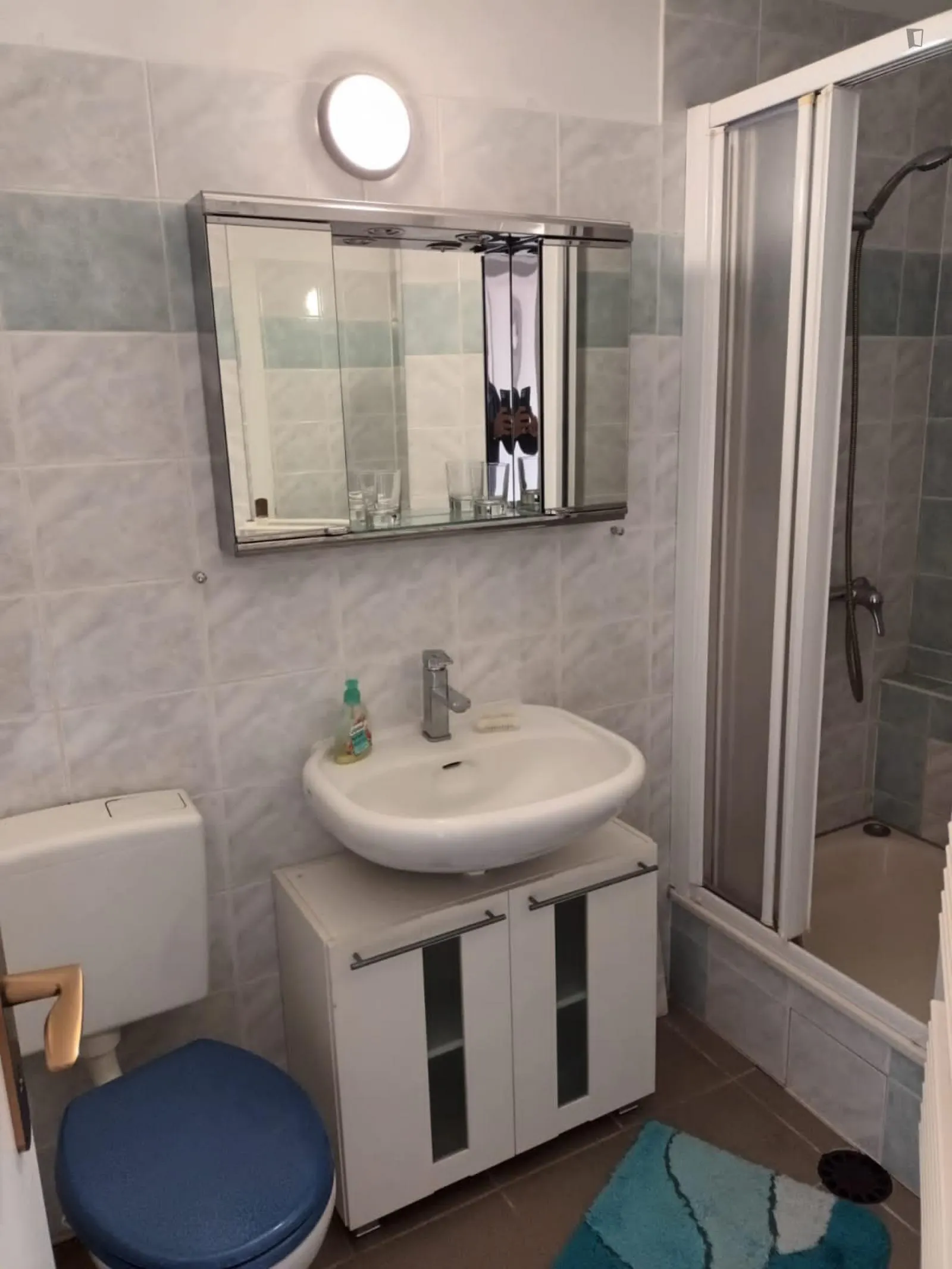 Cozy double bedroom in a 3 bedroom apartment in Adlershof BATHROOM 2