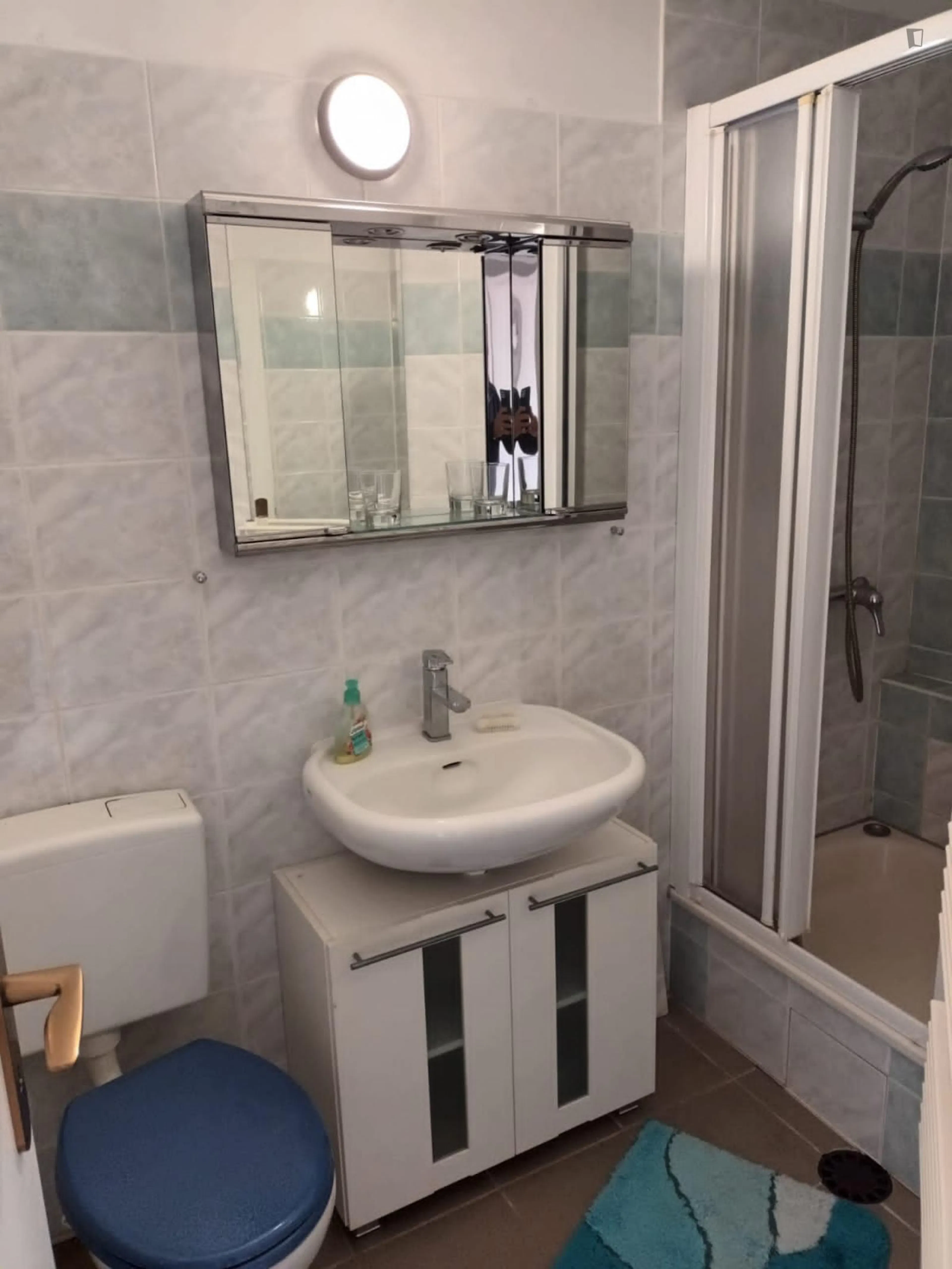 Cozy double bedroom in a 3 bedroom apartment in Adlershof BATHROOM 2