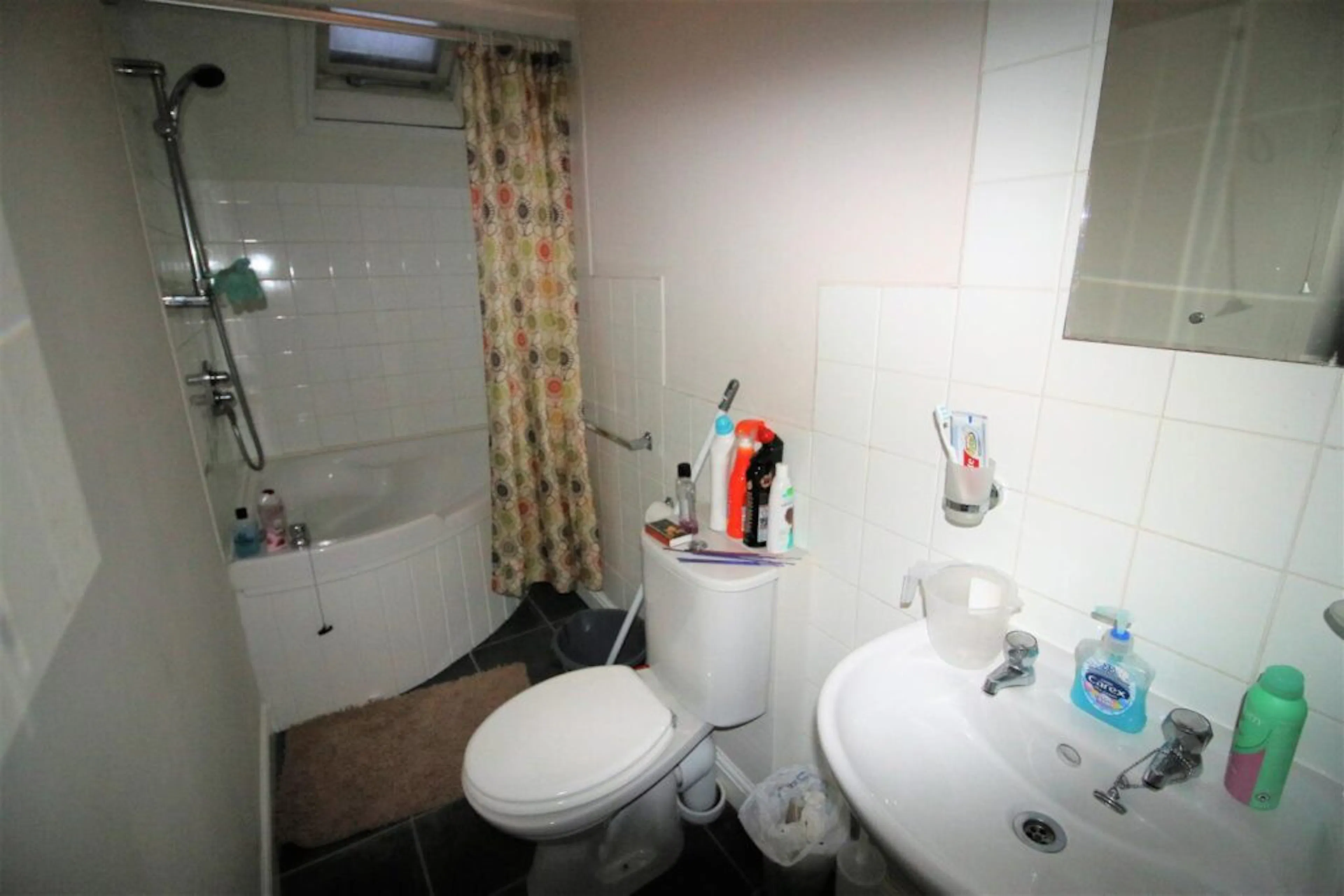 1 Bedroom Apartment BATHROOM 2