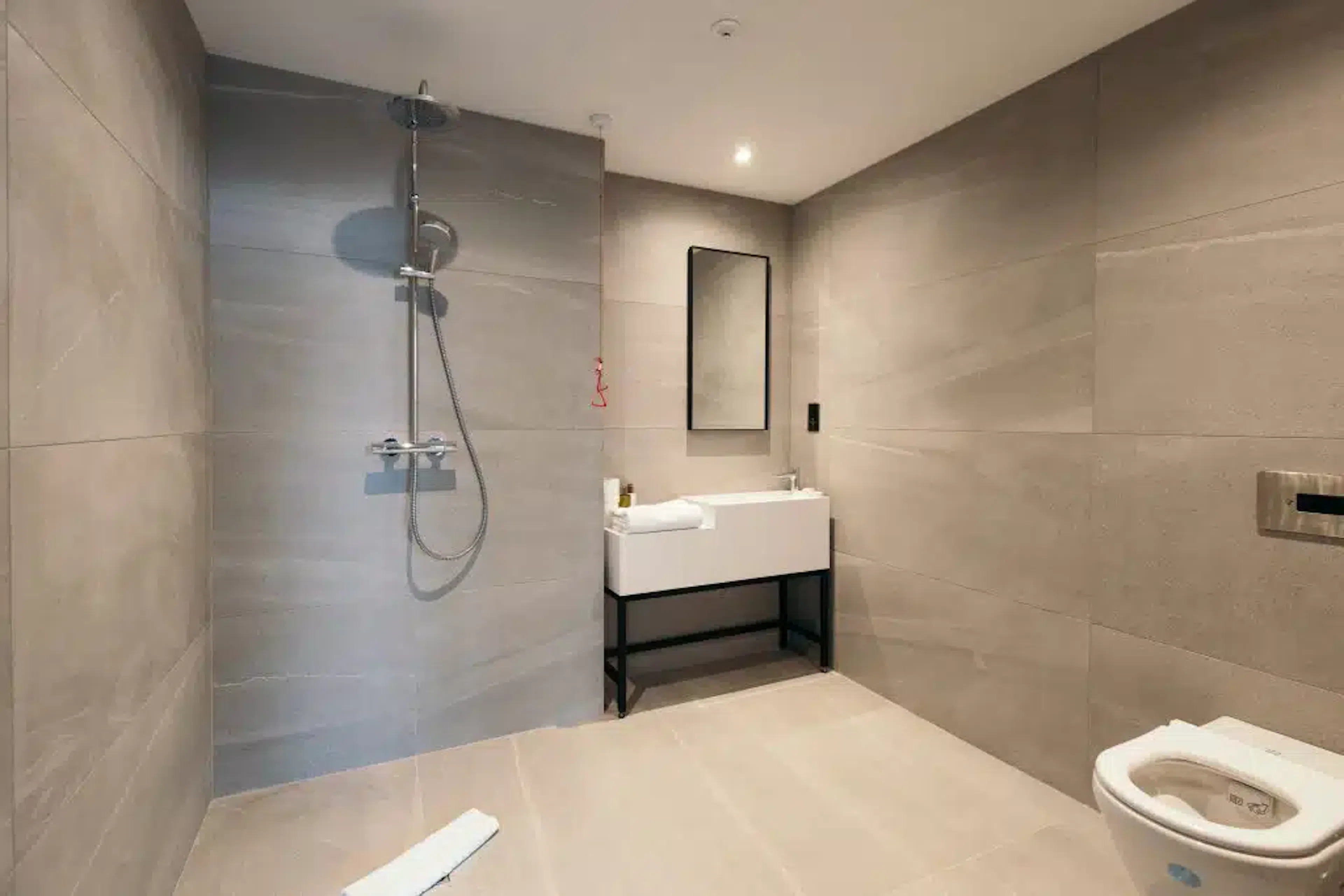 Large Studio BATHROOM 4
