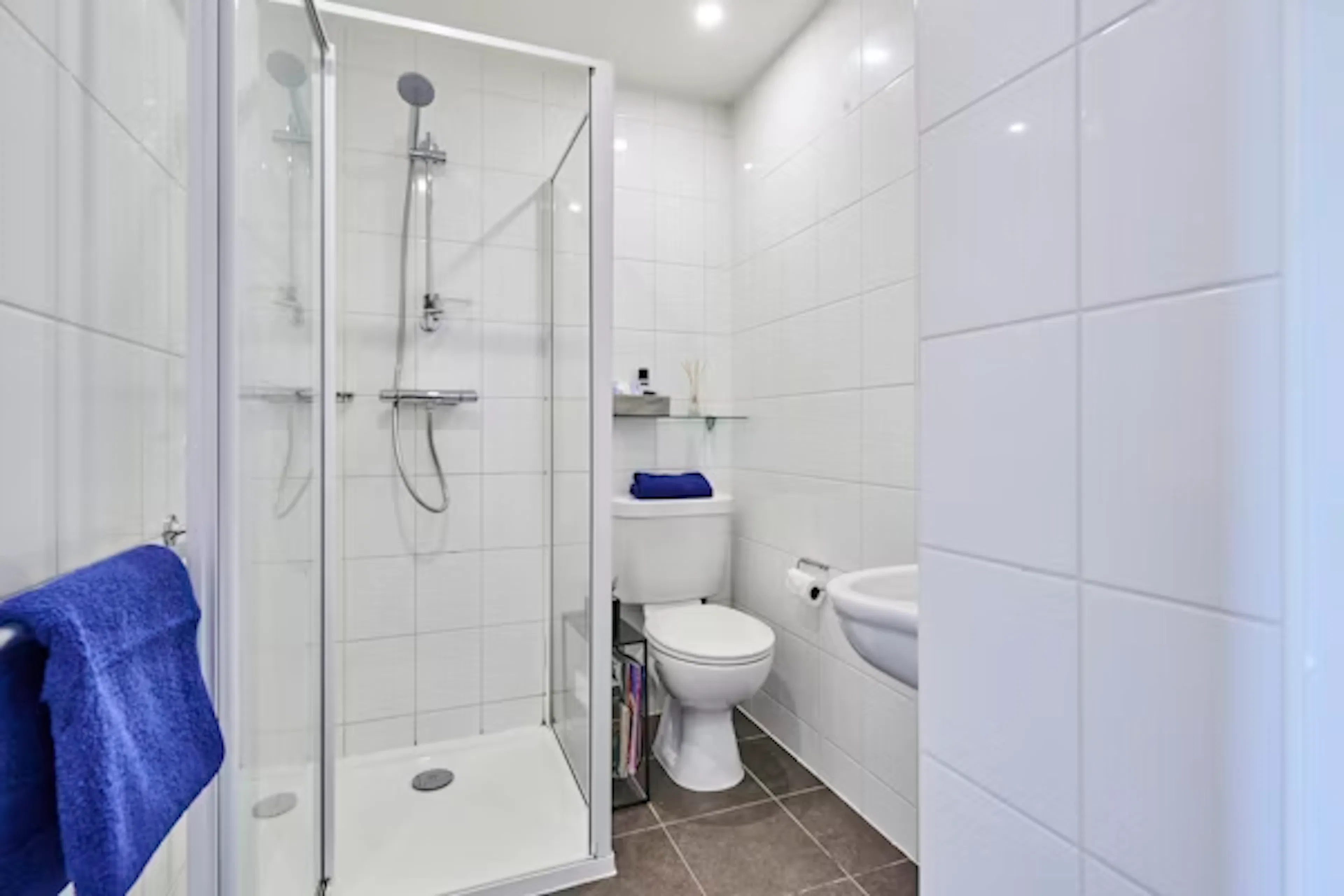 Tower Studio Platinum Plus BATHROOM 2