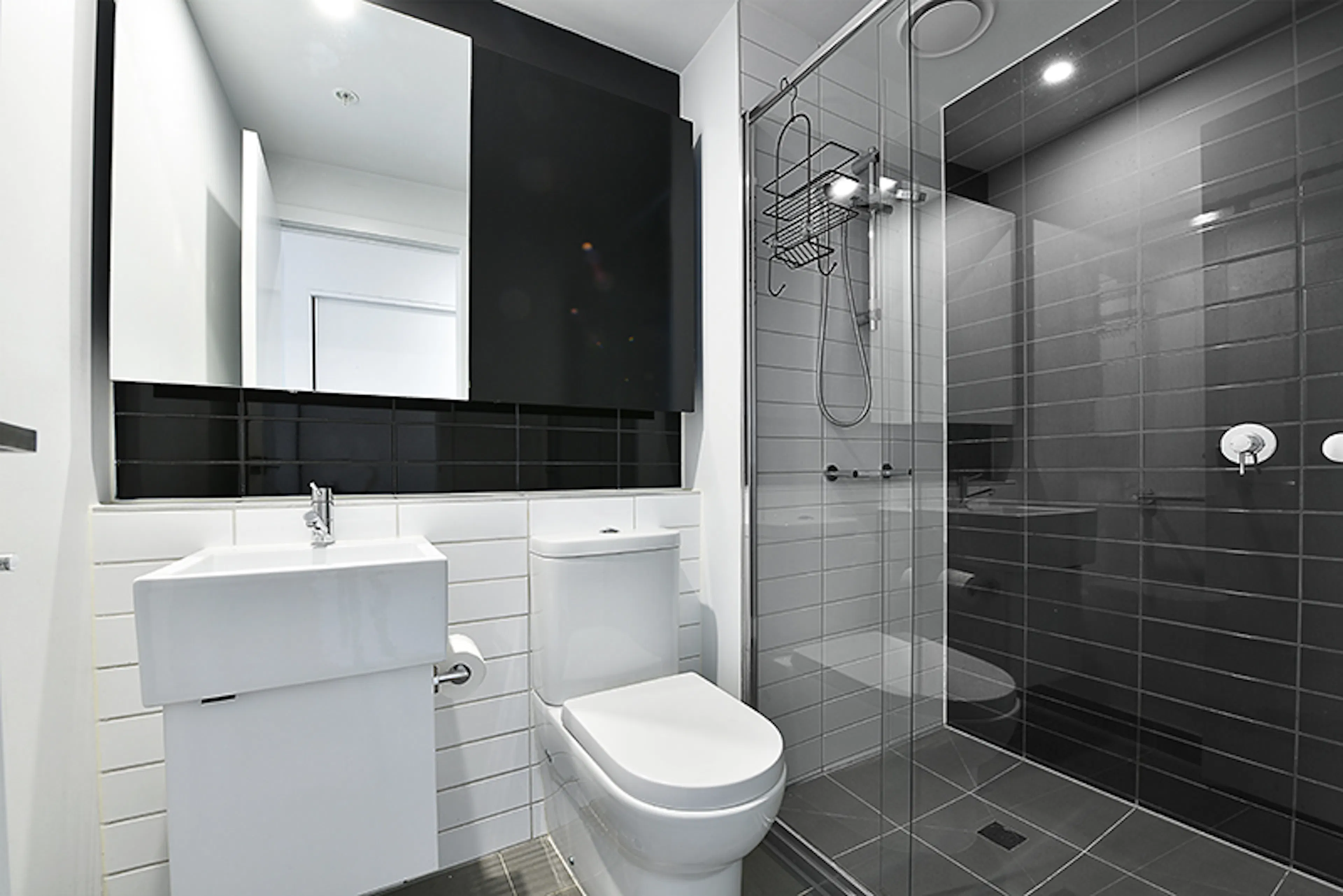2 Bedroom, 2 Bathroom Apartment BATHROOM 3