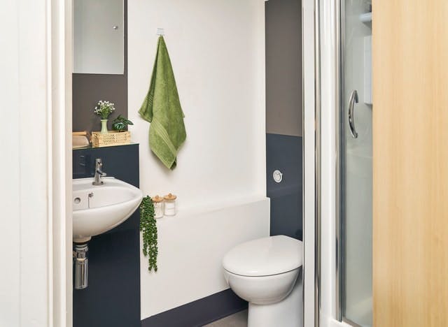 Studio Large Standard Double