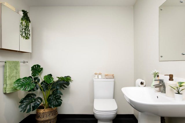 Classic Accessible Ensuite