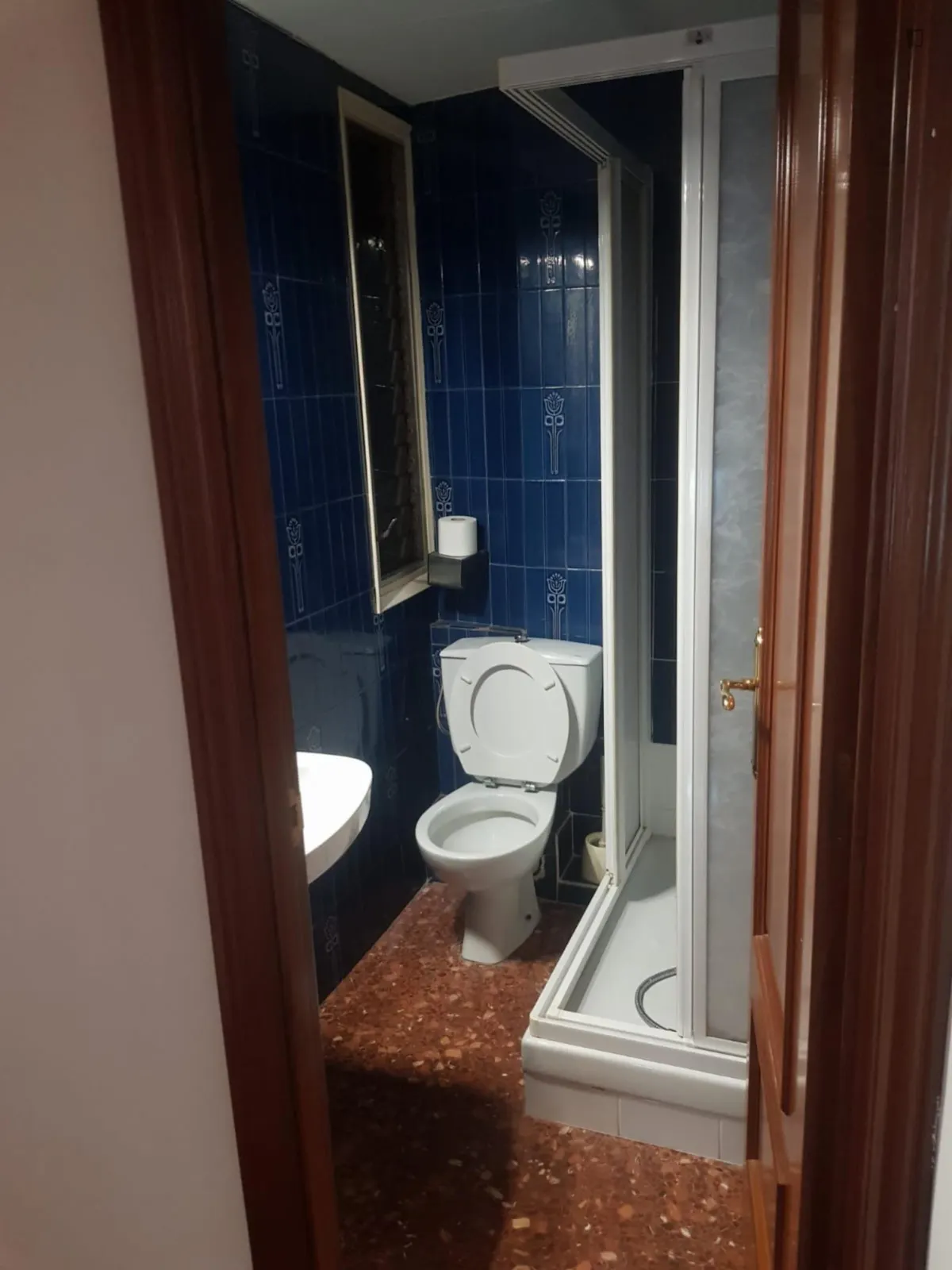 6 Bedroom Apartment BATHROOM