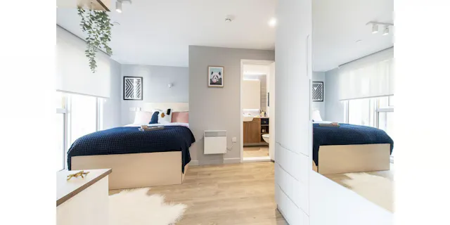 Executive Studio room image 1