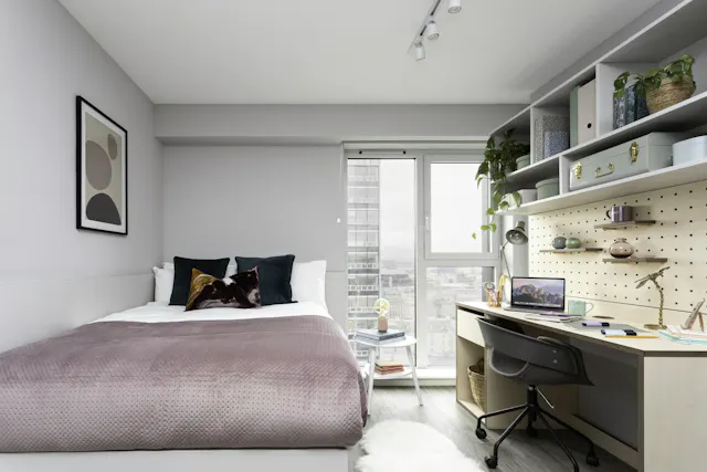Premium Studio room image 1