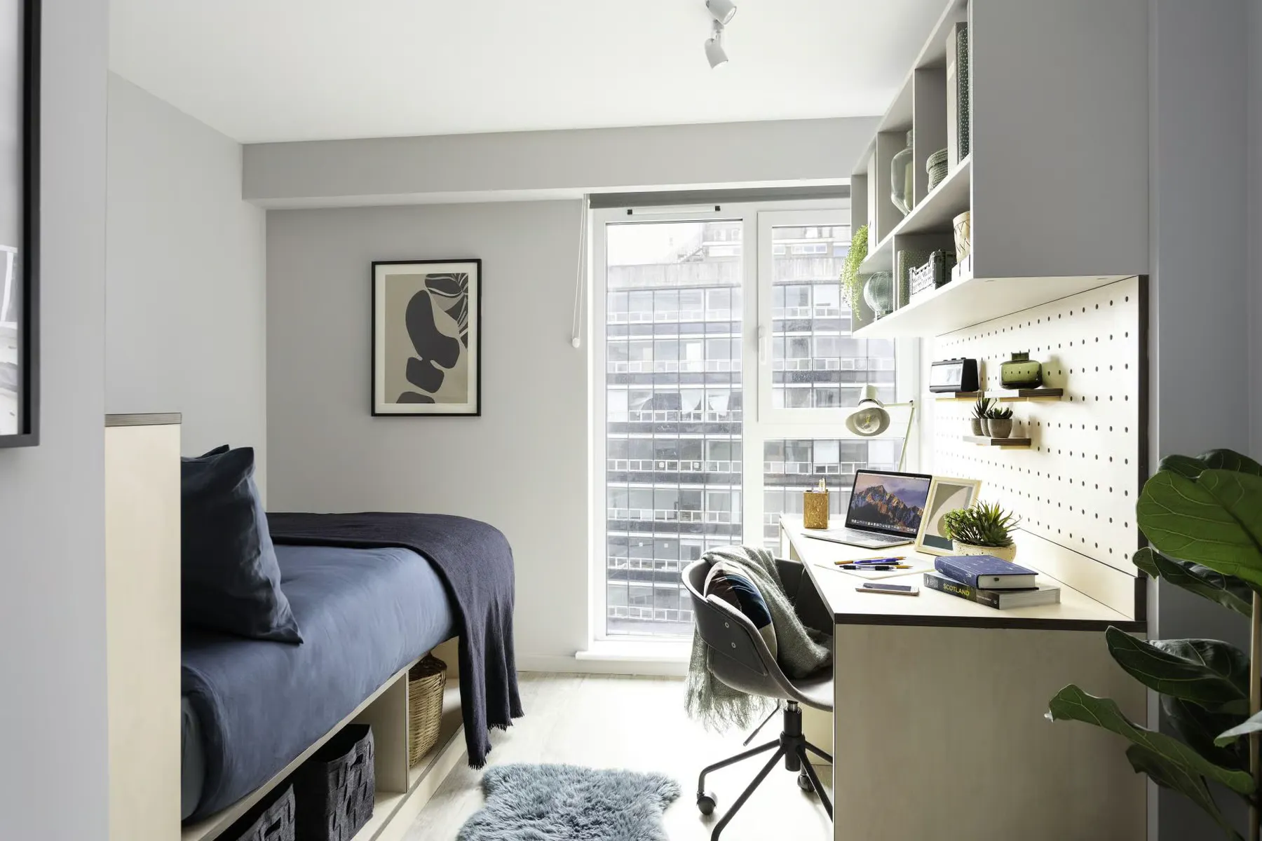 5 Bed Standard Ensuite ROOM 2
