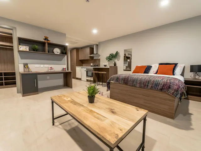 Penthouse Studio room image 2
