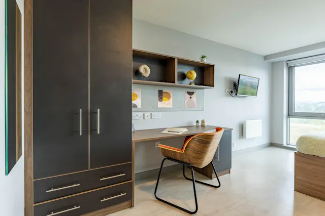 Deluxe Studio room image 6