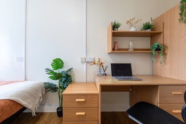Bronze Non Ensuite