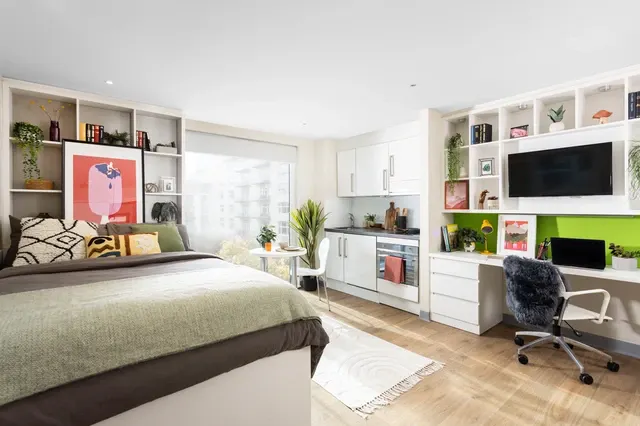 Studio Large Standard Double room image 1