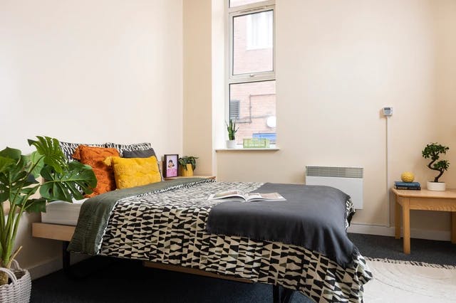 Extra Large Standard Single Studio