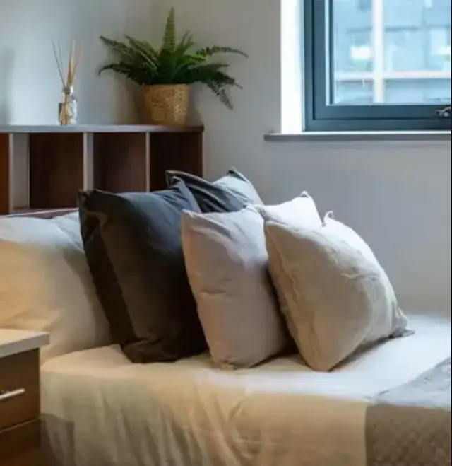 Standard room image 7