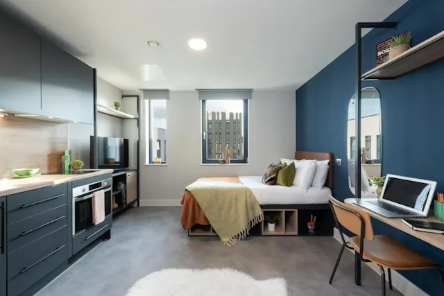Platinum Studio room image 1