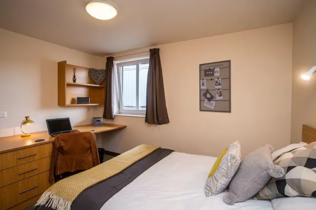 Deluxe Room room image 1