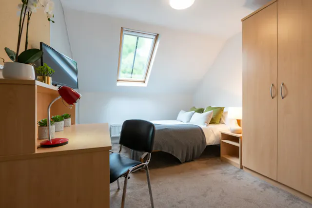 4 Bedroom Shared Apartments room image 1