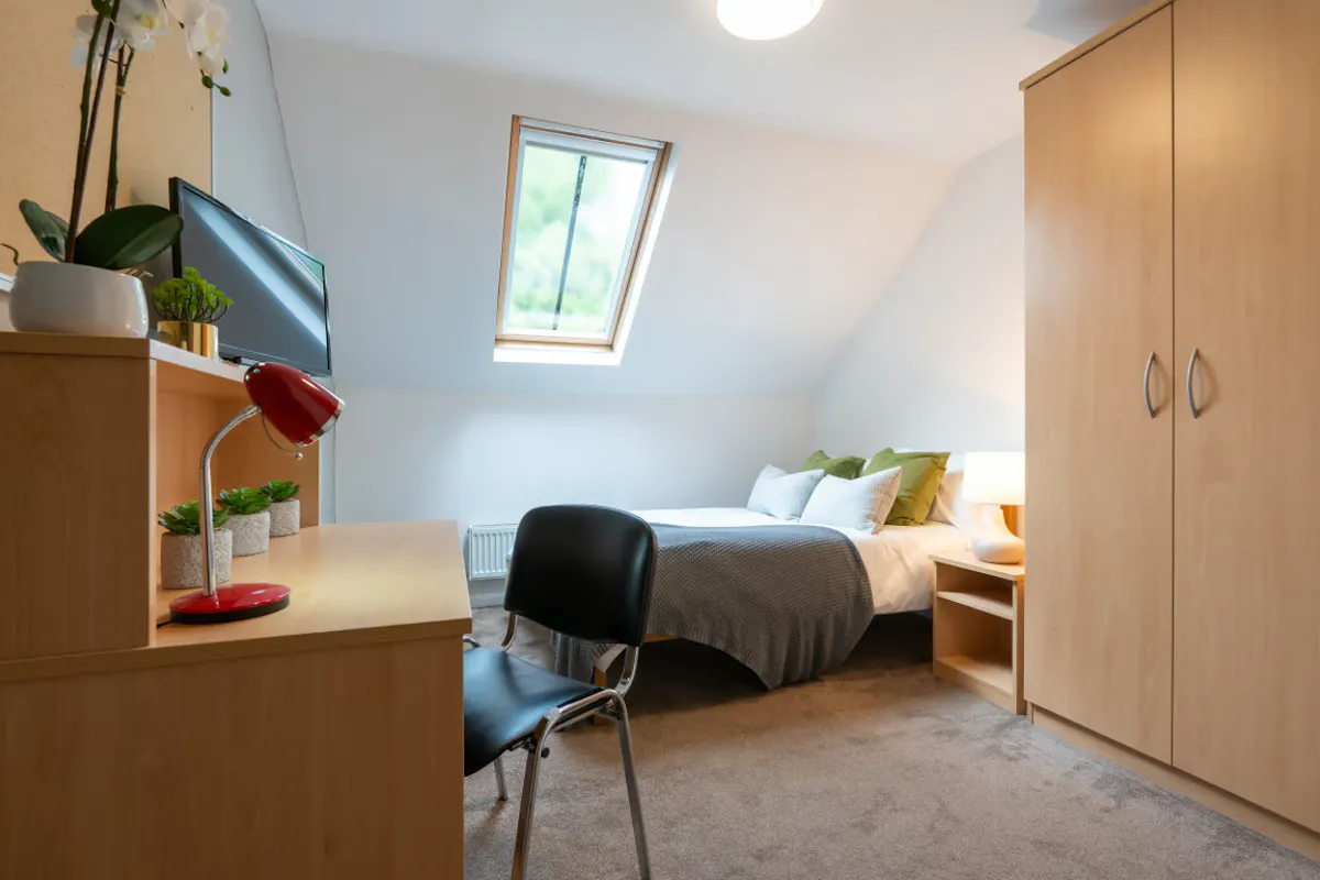 4 Bedroom Shared Apartments ROOM