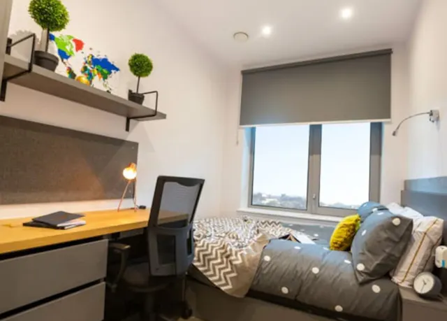 Gold Skyline En Suite room image 1