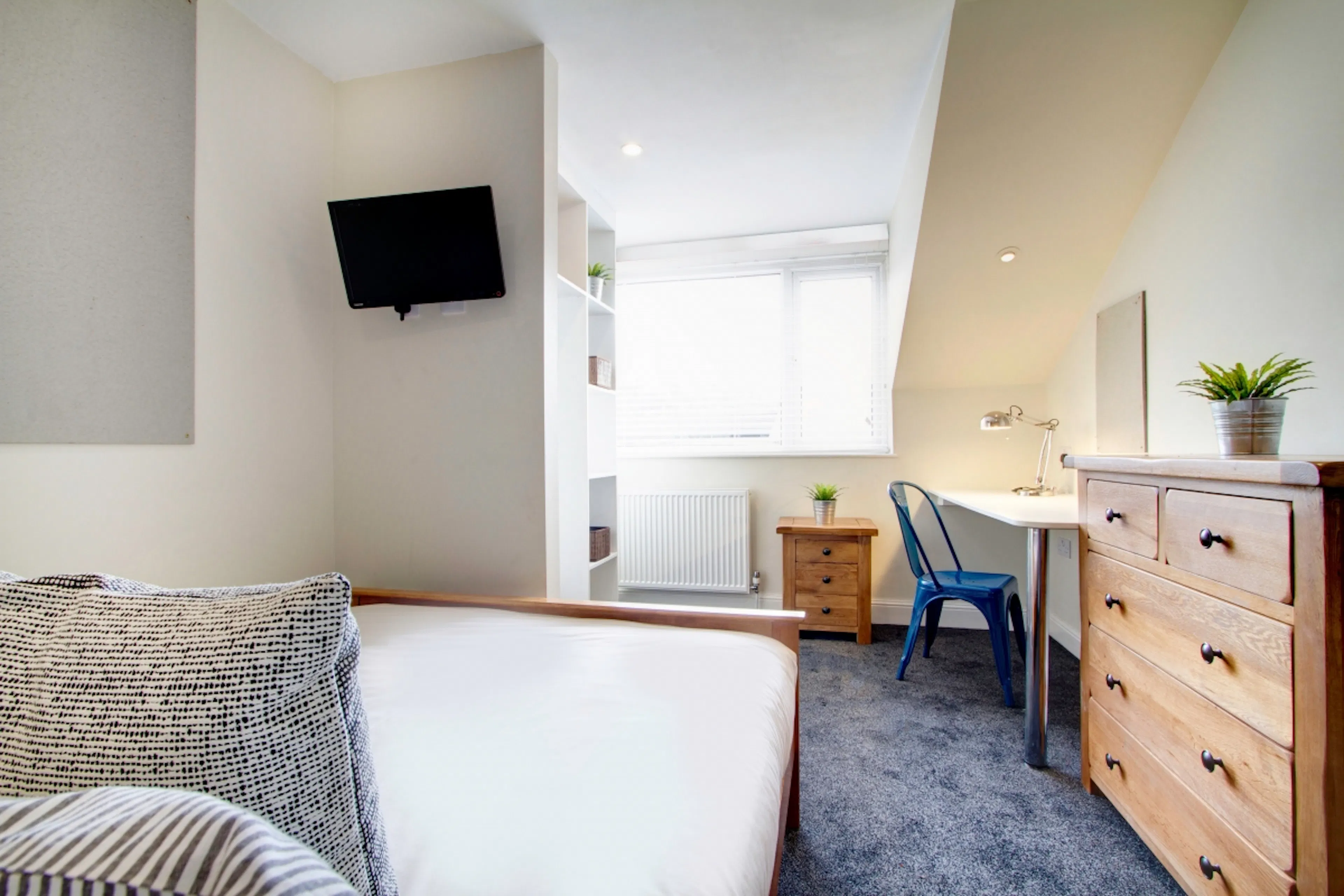 9 Bedroom Apartment ROOM 2