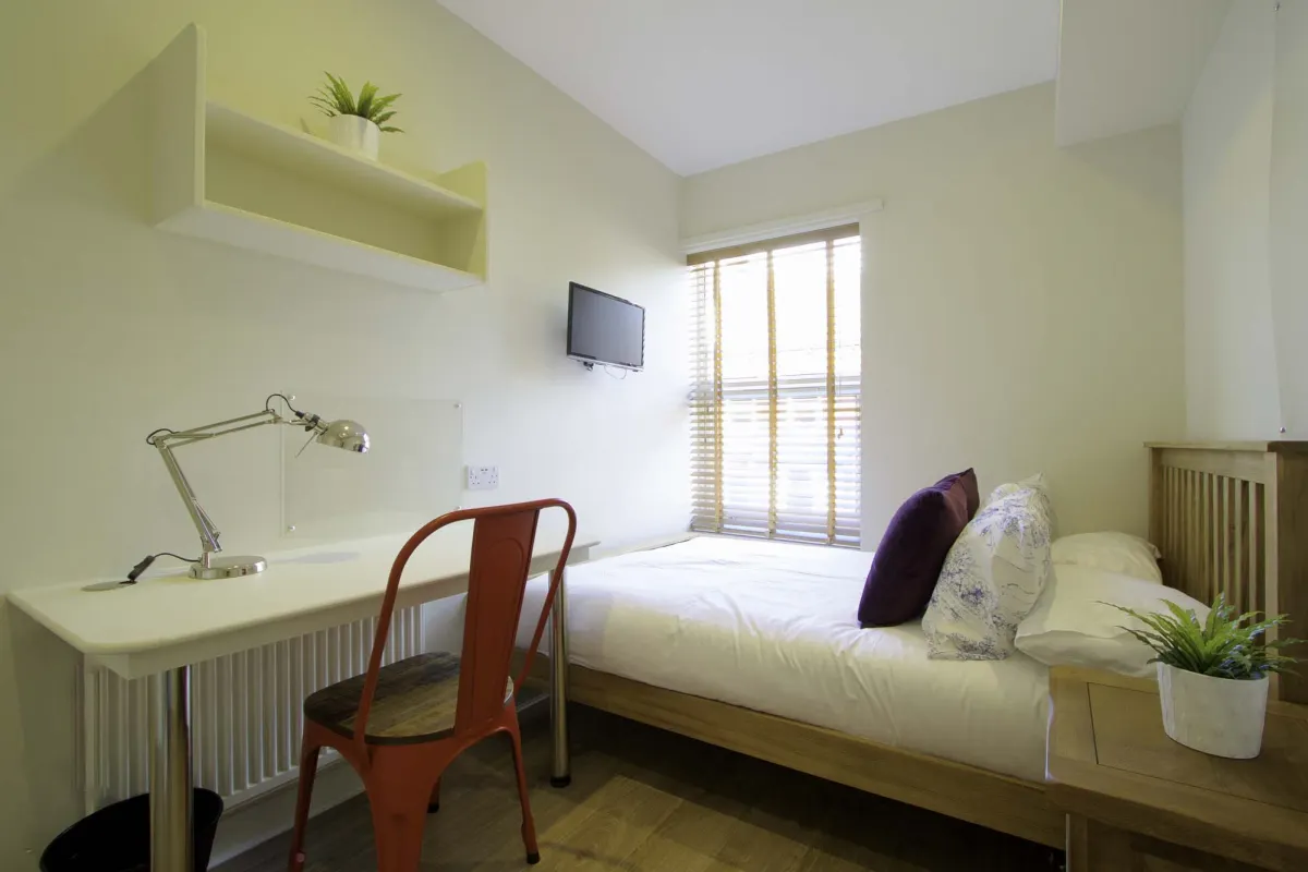 ROOM ROOM 1